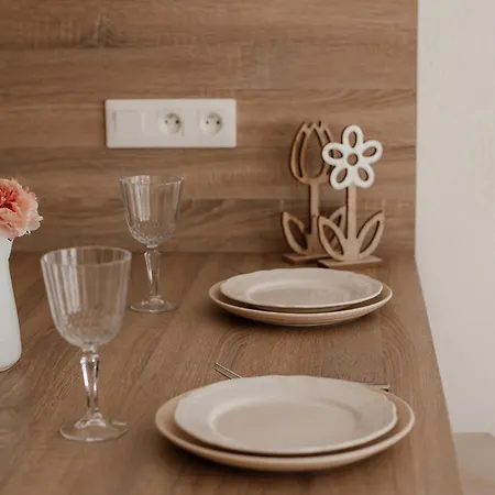 Cosy Studio Hypercentre Apartment Strasbourg